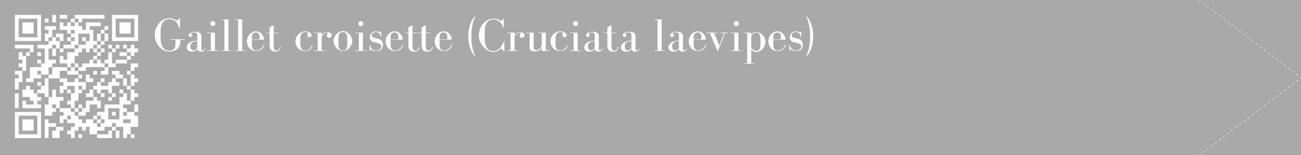 Étiquette de : Cruciata laevipes - format c - style blanche13_simple_simplebod avec qrcode et comestibilité