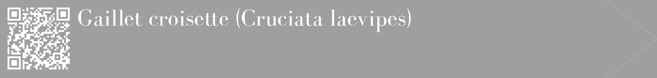Étiquette de : Cruciata laevipes - format c - style blanche24_simple_simplebod avec qrcode et comestibilité