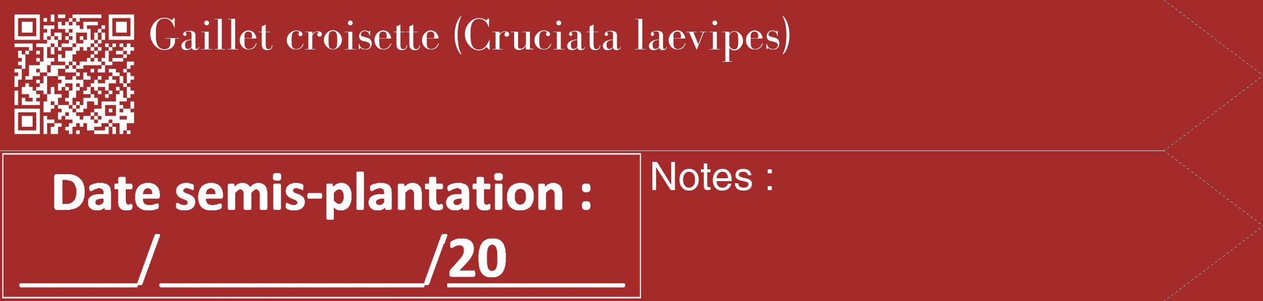 Étiquette de : Cruciata laevipes - format c - style blanche33_simple_simplebod avec qrcode et comestibilité