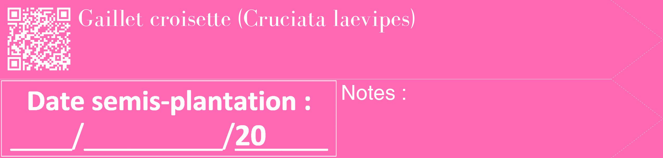 Étiquette de : Cruciata laevipes - format c - style blanche42_simple_simplebod avec qrcode et comestibilité