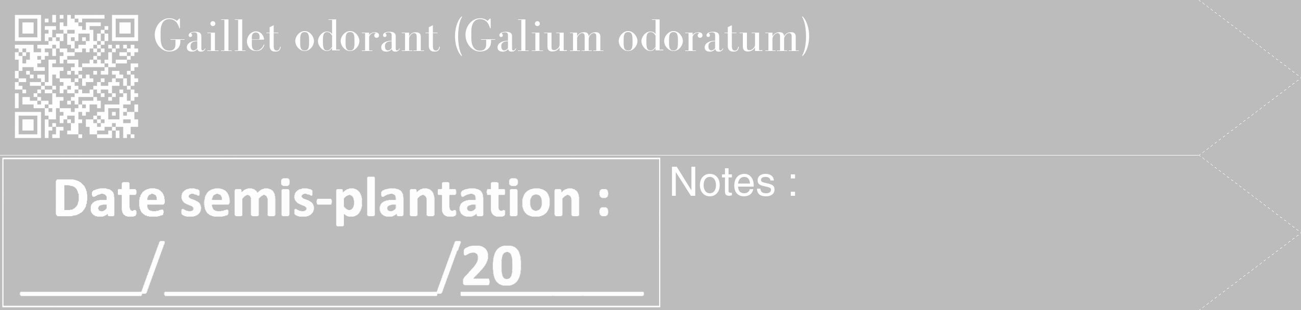 Étiquette de : Galium odoratum - format c - style blanche1_simple_simplebod avec qrcode et comestibilité