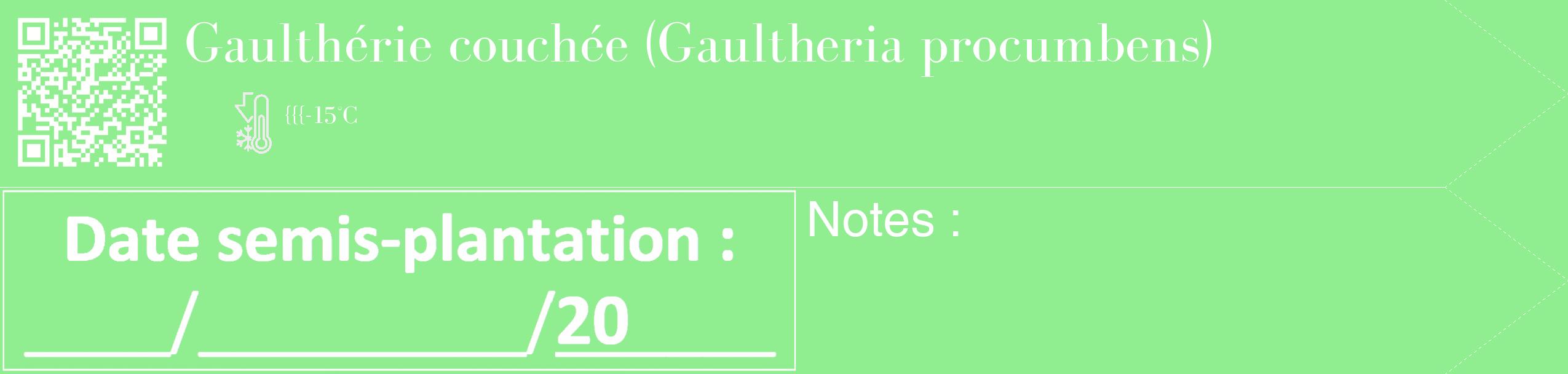 Étiquette de : Gaultheria procumbens - format c - style blanche15_simple_simplebod avec qrcode et comestibilité