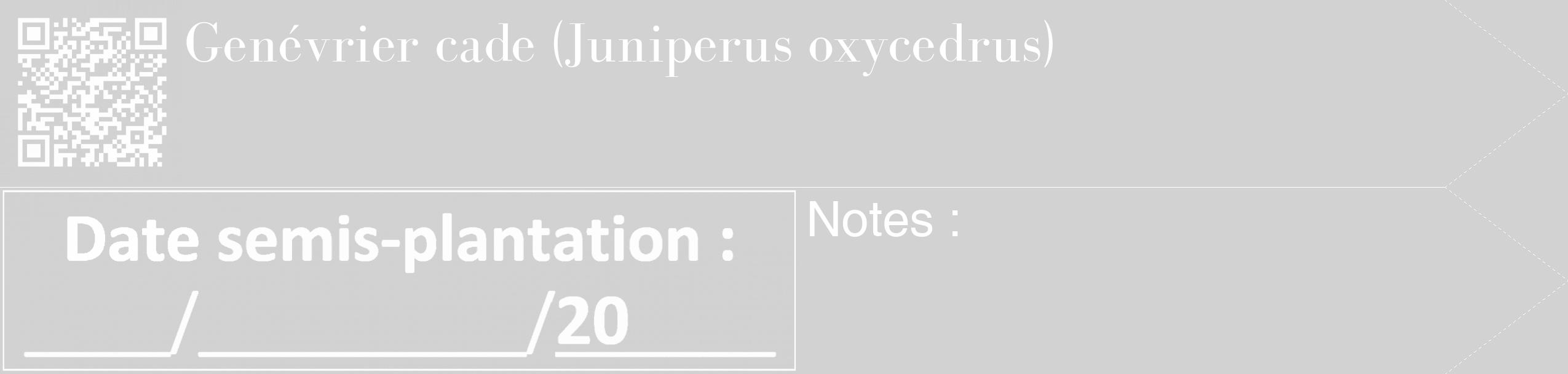 Étiquette de : Juniperus oxycedrus - format c - style blanche14_simple_simplebod avec qrcode et comestibilité