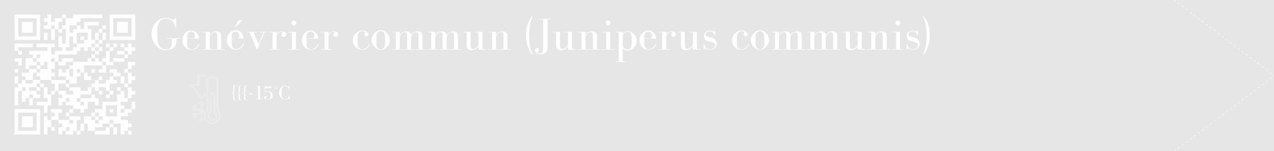 Étiquette de : Juniperus communis - format c - style blanche18_simple_simplebod avec qrcode et comestibilité