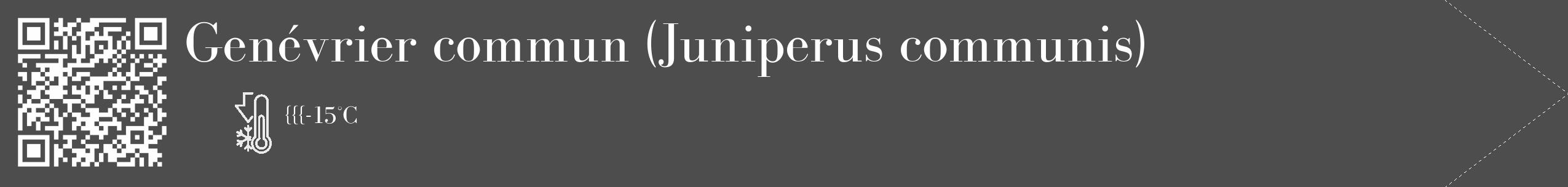 Étiquette de : Juniperus communis - format c - style blanche28_simple_simplebod avec qrcode et comestibilité
