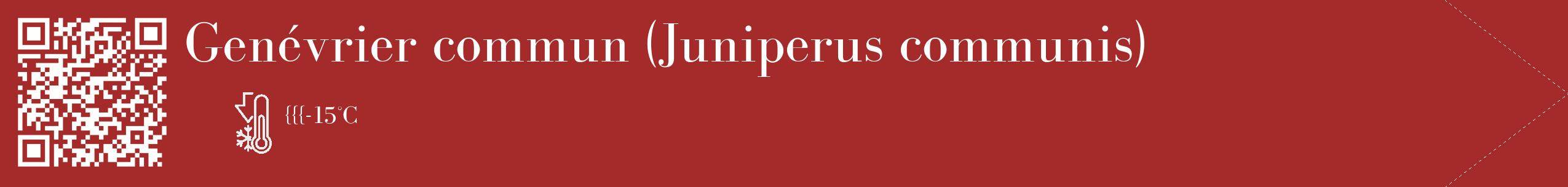 Étiquette de : Juniperus communis - format c - style blanche33_simple_simplebod avec qrcode et comestibilité