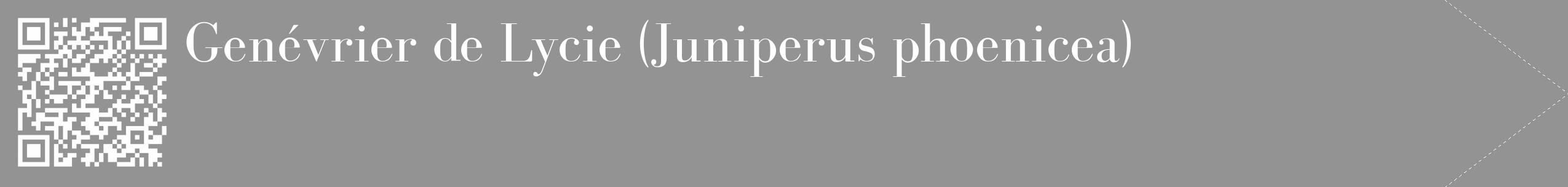 Étiquette de : Juniperus phoenicea - format c - style blanche44_simple_simplebod avec qrcode et comestibilité