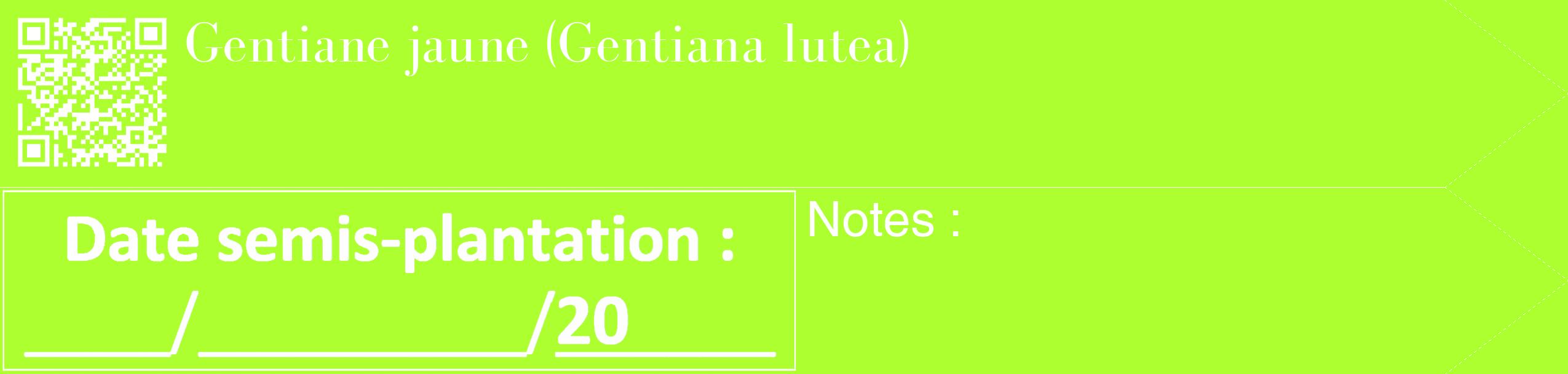 Étiquette de : Gentiana lutea - format c - style blanche17_simple_simplebod avec qrcode et comestibilité