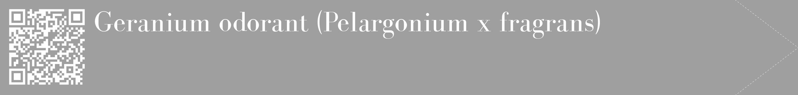 Étiquette de : Pelargonium x fragrans - format c - style blanche24_simple_simplebod avec qrcode et comestibilité