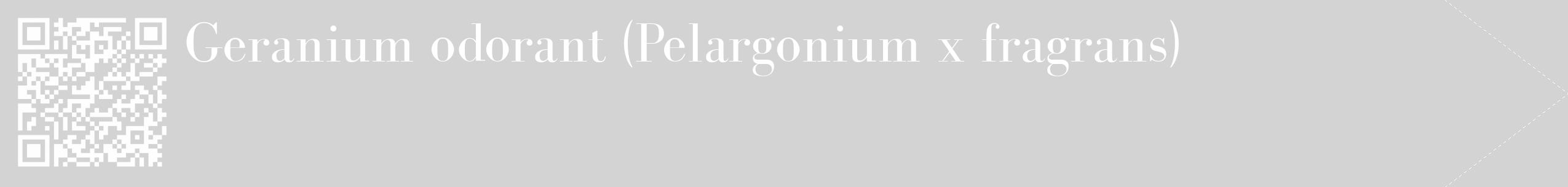 Étiquette de : Pelargonium x fragrans - format c - style blanche56_simple_simplebod avec qrcode et comestibilité