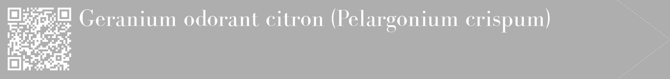 Étiquette de : Pelargonium crispum - format c - style blanche53_simple_simplebod avec qrcode et comestibilité
