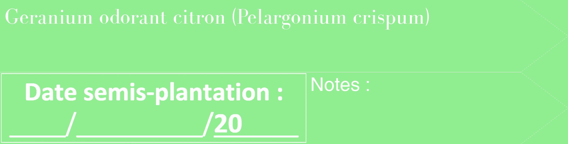 Étiquette de : Pelargonium crispum - format c - style blanche15_simple_simplebod avec comestibilité
