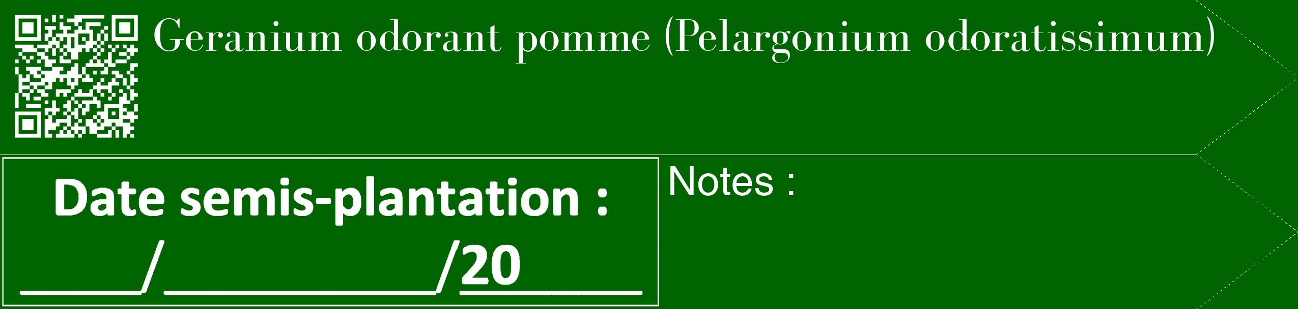 Étiquette de : Pelargonium odoratissimum - format c - style blanche8_simple_simplebod avec qrcode et comestibilité