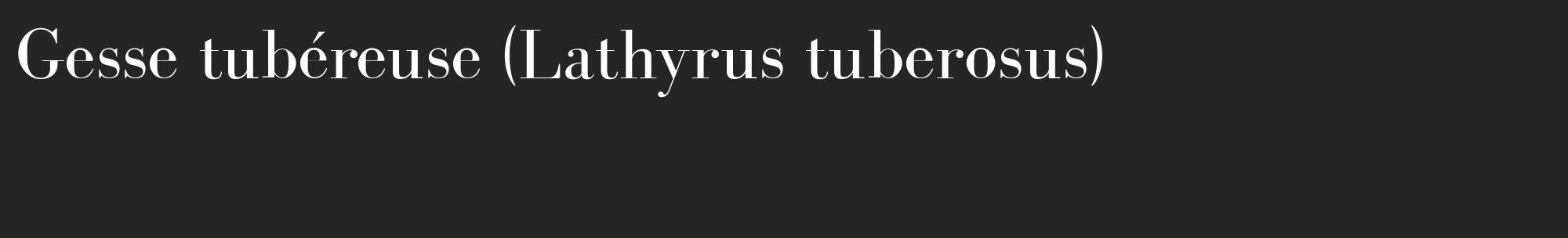 Étiquette de : Lathyrus tuberosus - format c - style blanche47_basique_basiquebod avec comestibilité
