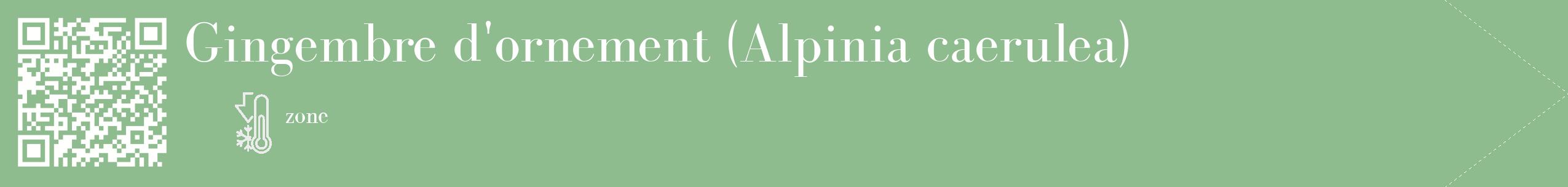 Étiquette de : Alpinia caerulea - format c - style blanche13_simple_simplebod avec qrcode et comestibilité
