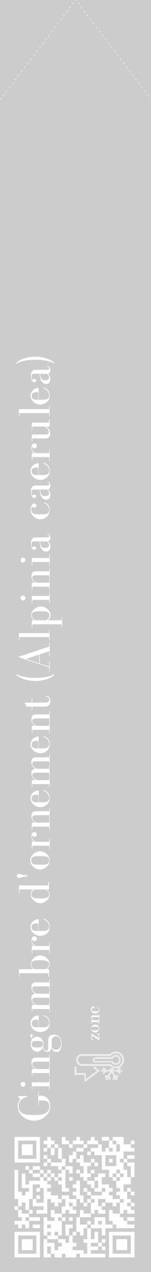 Étiquette de : Alpinia caerulea - format c - style blanche0_simple_simplebod avec qrcode et comestibilité - position verticale