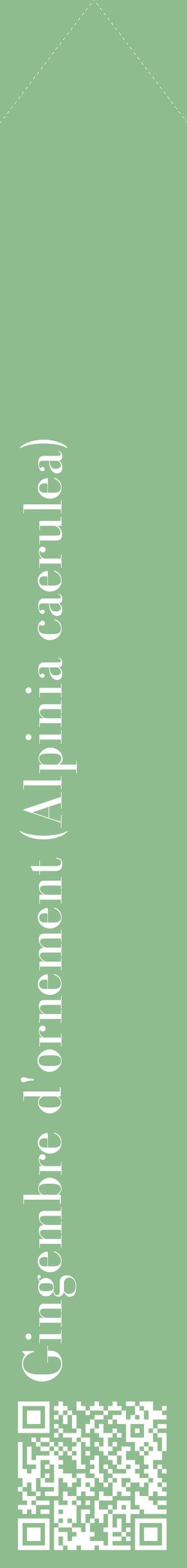 Étiquette de : Alpinia caerulea - format c - style blanche13_simple_simplebod avec qrcode et comestibilité - position verticale