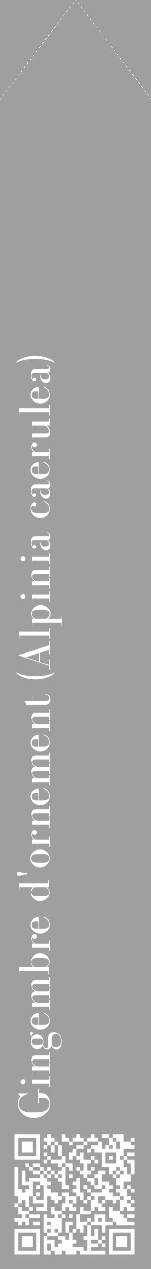Étiquette de : Alpinia caerulea - format c - style blanche24_simple_simplebod avec qrcode et comestibilité - position verticale