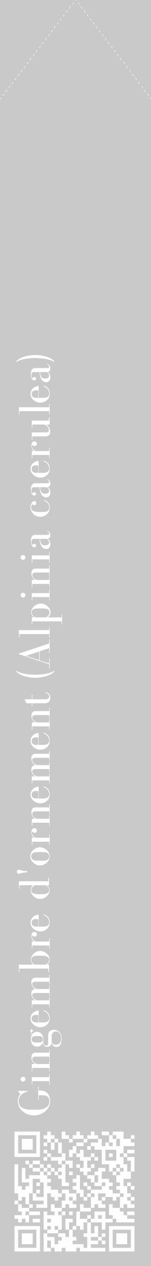 Étiquette de : Alpinia caerulea - format c - style blanche54_simple_simplebod avec qrcode et comestibilité - position verticale
