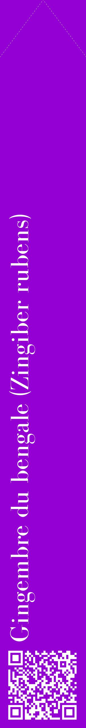 Étiquette de : Zingiber rubens - format c - style blanche48_simplebod avec qrcode et comestibilité