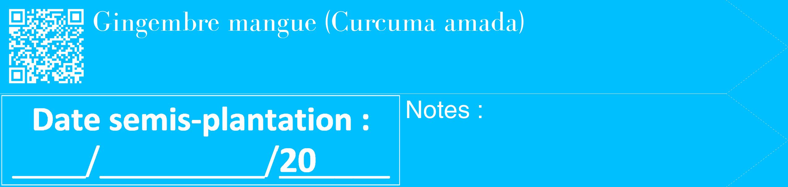 Étiquette de : Curcuma amada - format c - style blanche2_simple_simplebod avec qrcode et comestibilité