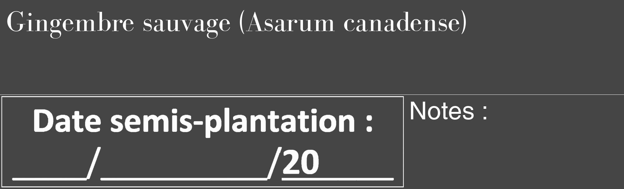 Étiquette de : Asarum canadense - format c - style blanche58_basique_basiquebod avec comestibilité