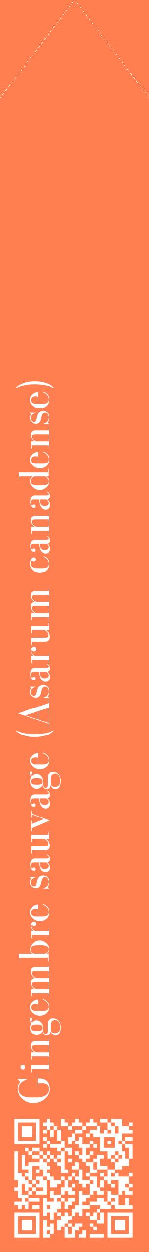 Étiquette de : Asarum canadense - format c - style blanche24_simplebod avec qrcode et comestibilité