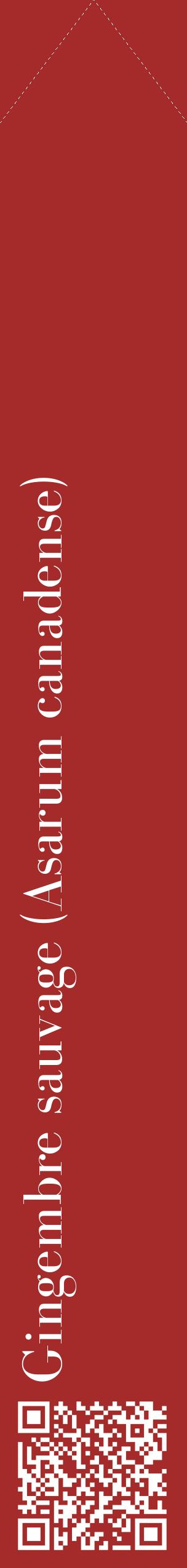 Étiquette de : Asarum canadense - format c - style blanche33_simplebod avec qrcode et comestibilité