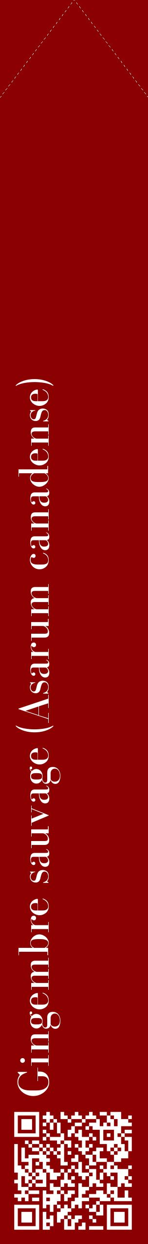 Étiquette de : Asarum canadense - format c - style blanche34_simplebod avec qrcode et comestibilité