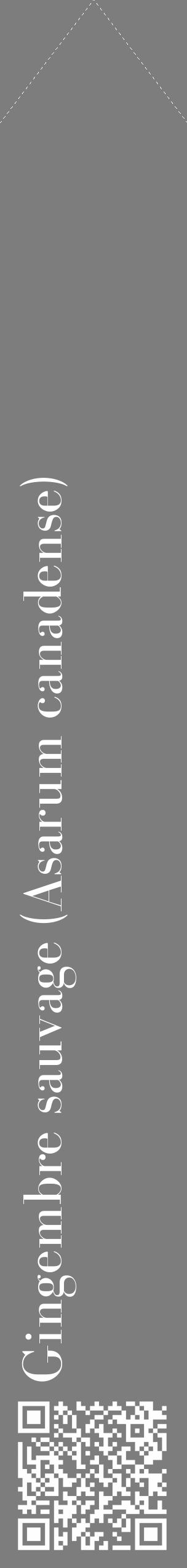 Étiquette de : Asarum canadense - format c - style blanche35_simple_simplebod avec qrcode et comestibilité - position verticale