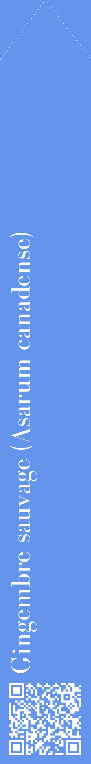 Étiquette de : Asarum canadense - format c - style blanche4_simplebod avec qrcode et comestibilité