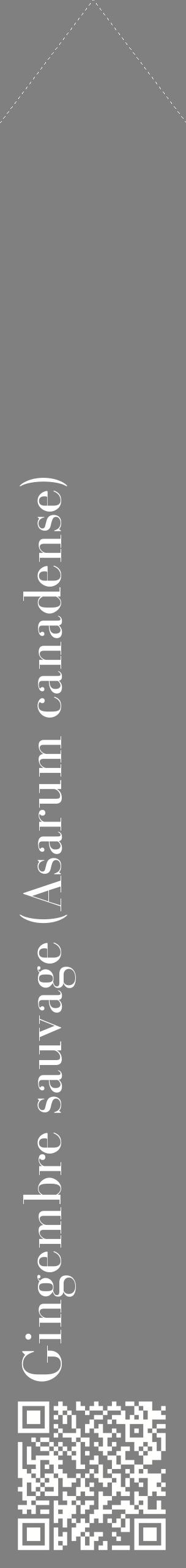Étiquette de : Asarum canadense - format c - style blanche57_simplebod avec qrcode et comestibilité