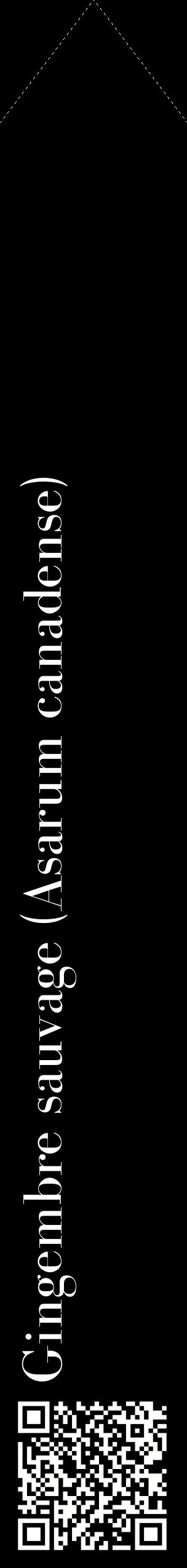 Étiquette de : Asarum canadense - format c - style blanche59_simplebod avec qrcode et comestibilité