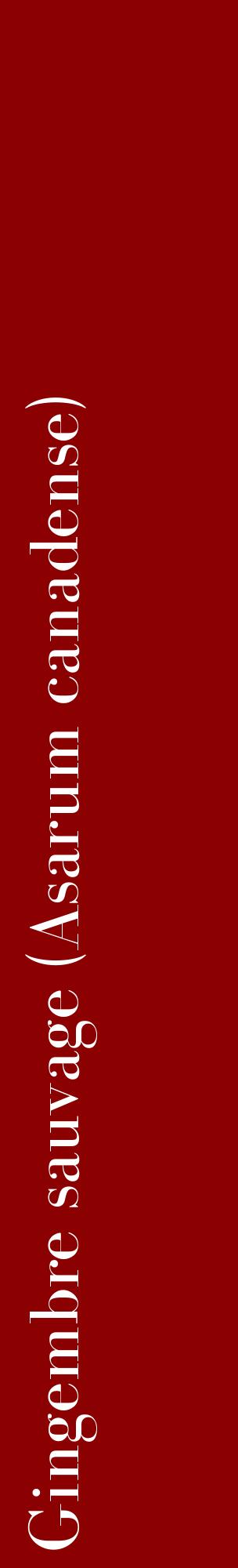 Étiquette de : Asarum canadense - format c - style blanche34_basiquebod avec comestibilité