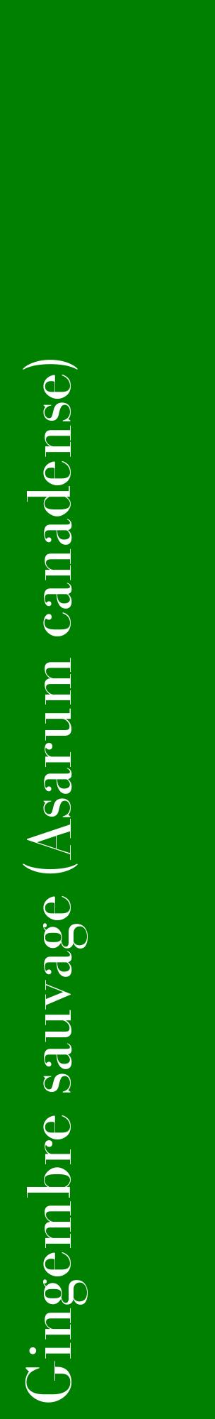 Étiquette de : Asarum canadense - format c - style blanche9_basiquebod avec comestibilité