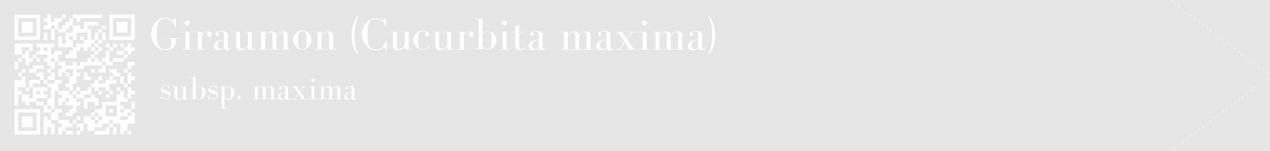 Étiquette de : Cucurbita maxima subsp. maxima - format c - style blanche18_simple_simplebod avec qrcode et comestibilité