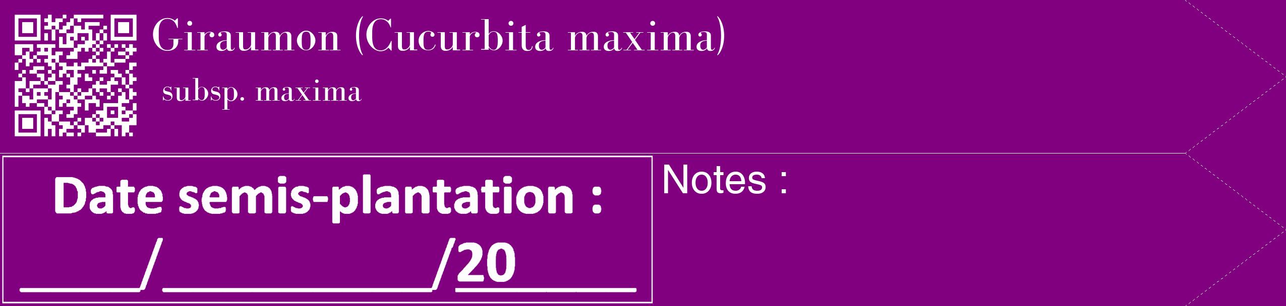 Étiquette de : Cucurbita maxima subsp. maxima - format c - style blanche46_simple_simplebod avec qrcode et comestibilité