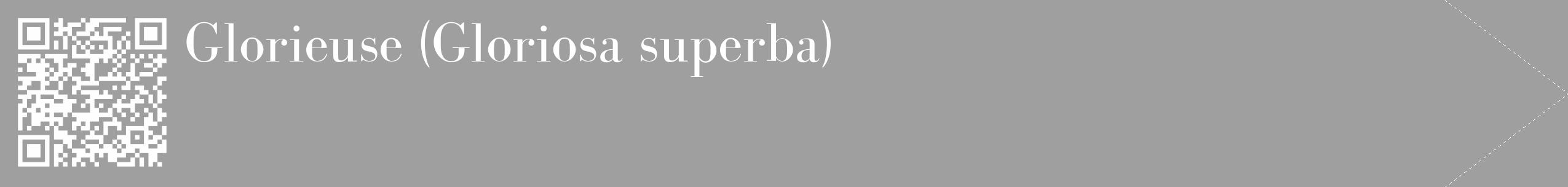 Étiquette de : Gloriosa superba - format c - style blanche24_simple_simplebod avec qrcode et comestibilité