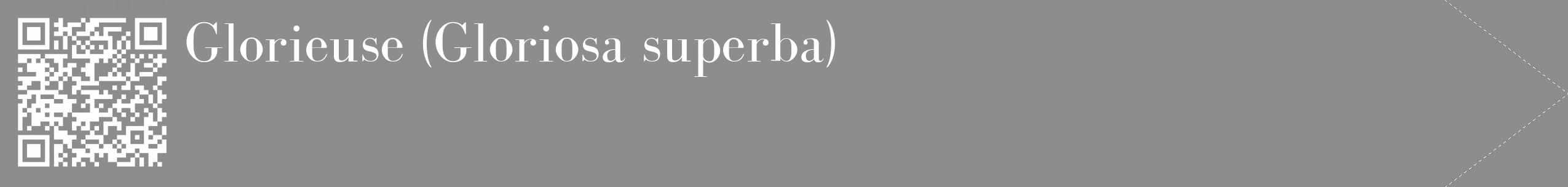 Étiquette de : Gloriosa superba - format c - style blanche2_simple_simplebod avec qrcode et comestibilité