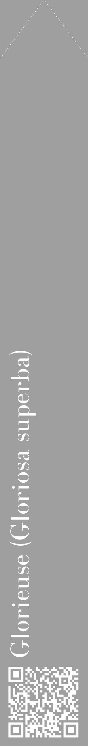 Étiquette de : Gloriosa superba - format c - style blanche24_simple_simplebod avec qrcode et comestibilité - position verticale