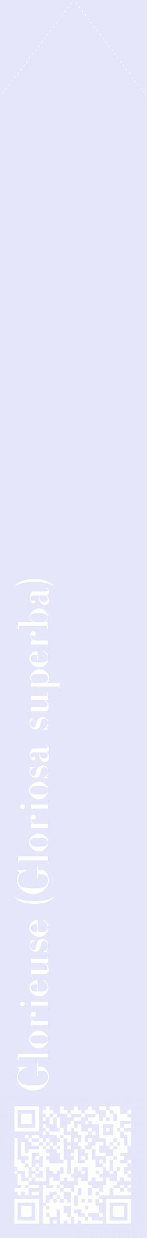 Étiquette de : Gloriosa superba - format c - style blanche55_simplebod avec qrcode et comestibilité