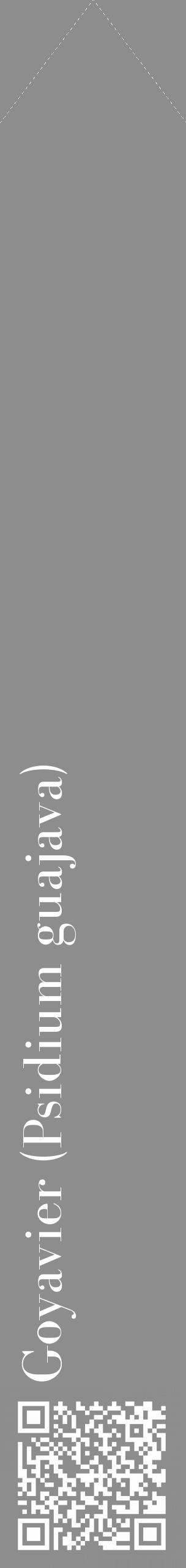Étiquette de : Psidium guajava - format c - style blanche2_simple_simplebod avec qrcode et comestibilité - position verticale