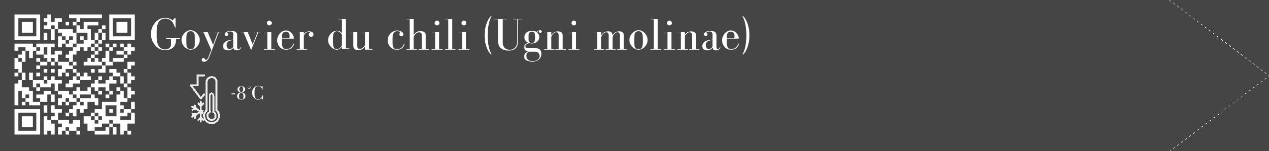 Étiquette de : Ugni molinae - format c - style blanche58_simple_simplebod avec qrcode et comestibilité