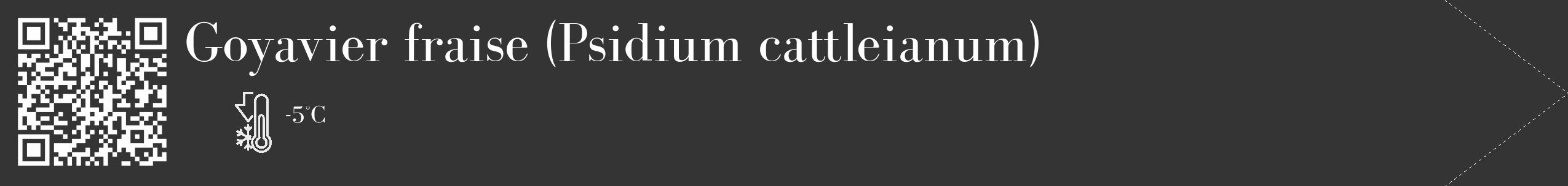 Étiquette de : Psidium cattleianum - format c - style blanche46_simple_simplebod avec qrcode et comestibilité