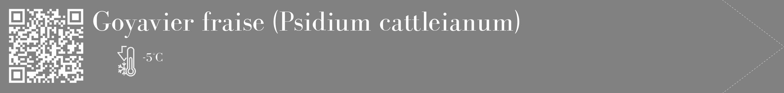 Étiquette de : Psidium cattleianum - format c - style blanche50_simple_simplebod avec qrcode et comestibilité
