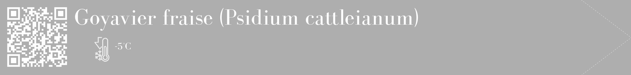 Étiquette de : Psidium cattleianum - format c - style blanche53_simple_simplebod avec qrcode et comestibilité