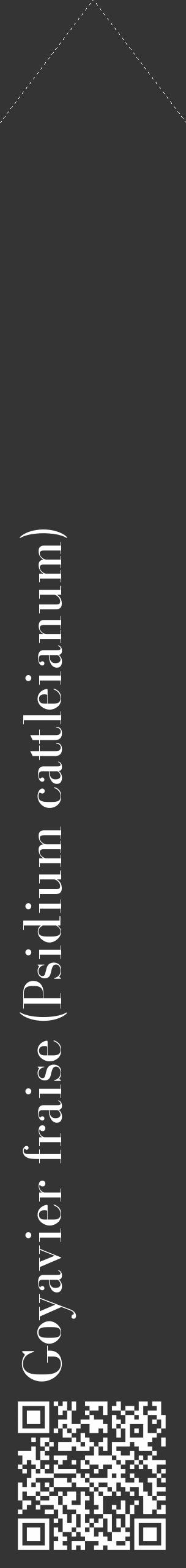 Étiquette de : Psidium cattleianum - format c - style blanche46_simple_simplebod avec qrcode et comestibilité - position verticale