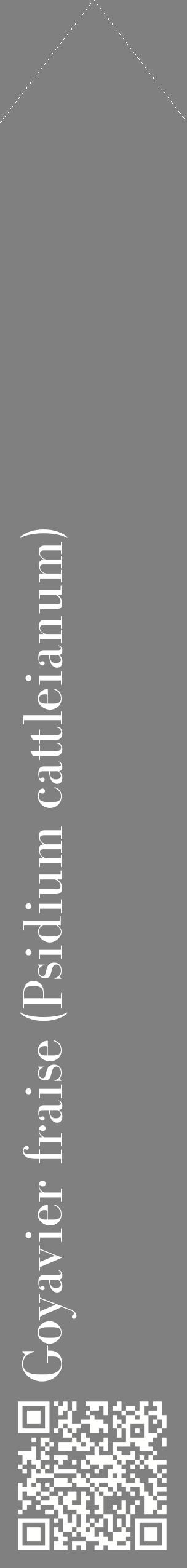 Étiquette de : Psidium cattleianum - format c - style blanche57_simplebod avec qrcode et comestibilité