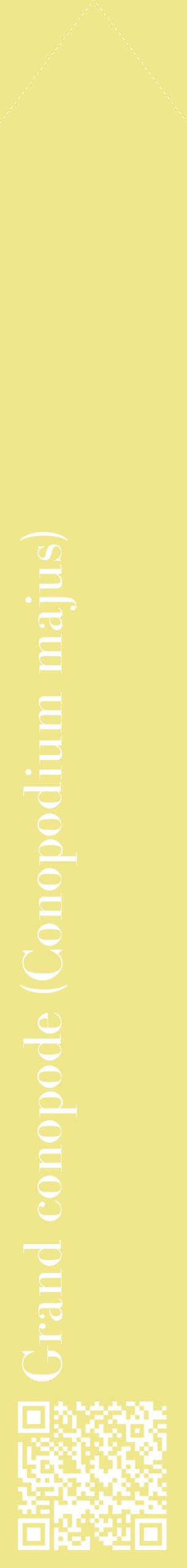 Étiquette de : Conopodium majus - format c - style blanche20_simplebod avec qrcode et comestibilité