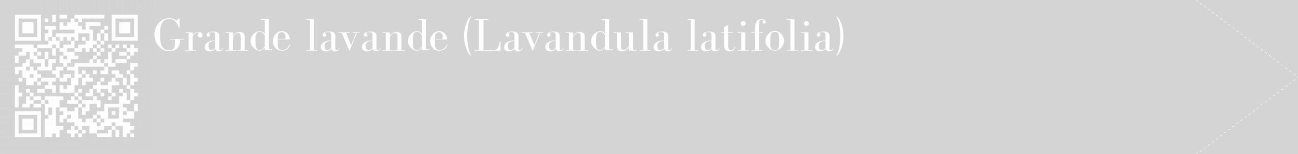 Étiquette de : Lavandula latifolia - format c - style blanche40_simple_simplebod avec qrcode et comestibilité